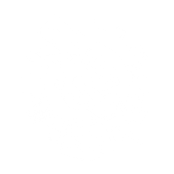 Skitarius